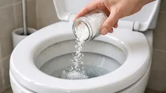 Sale grosso nel WC tutta la notte: funziona davvero contro odori e sporco
