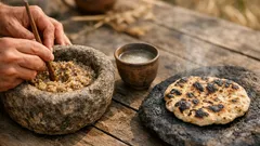 Pane o birra: cosa è nato prima? Il mistero che cambia la storia del Neolitico